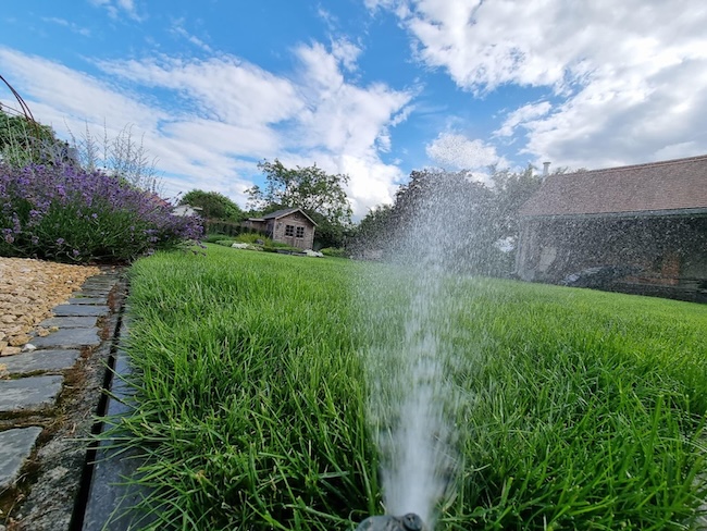 Arroseurs automatiques intégrés qui irriguent une pelouse de manière régulière