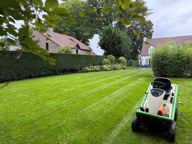 Les Jardins Dubois Jardinier tondent une pelouse avec précision