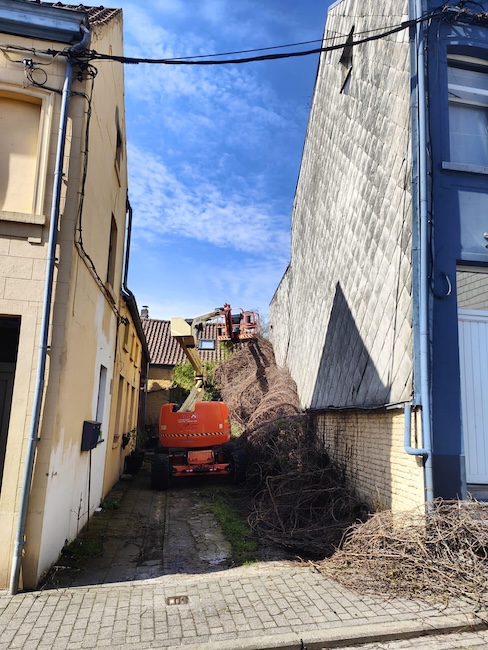 Façade avant et après suppression du lierre par Les Jardins Dubois