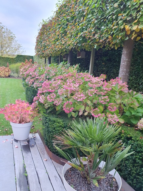 Entretien de jardin devant une maison par Les Jardins Dubois