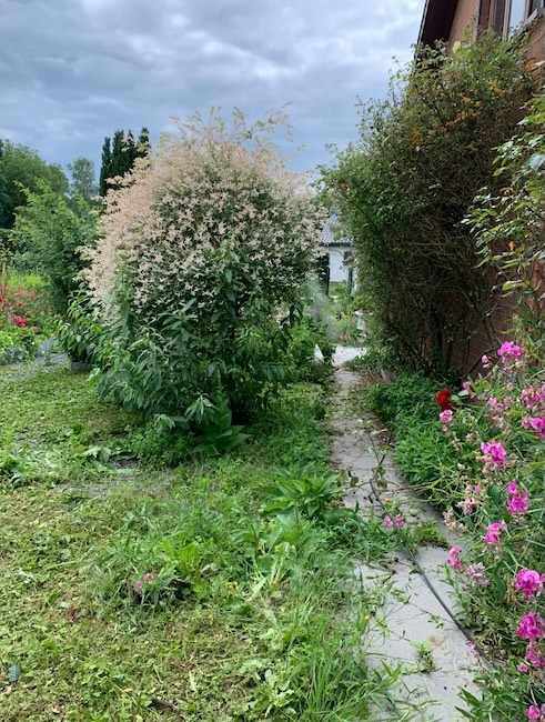 Exemple jardin abandonné