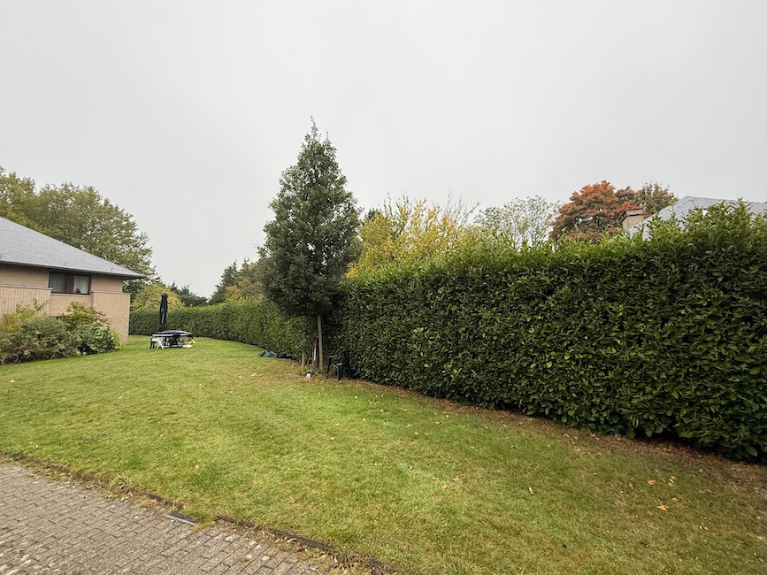 Taille de haies pour un jardin net et esthétique en Brabant wallon