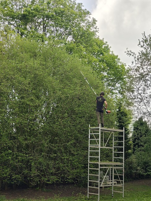 Taille professionnelle de haies par Les Jardins Dubois dans le Brabant wallon